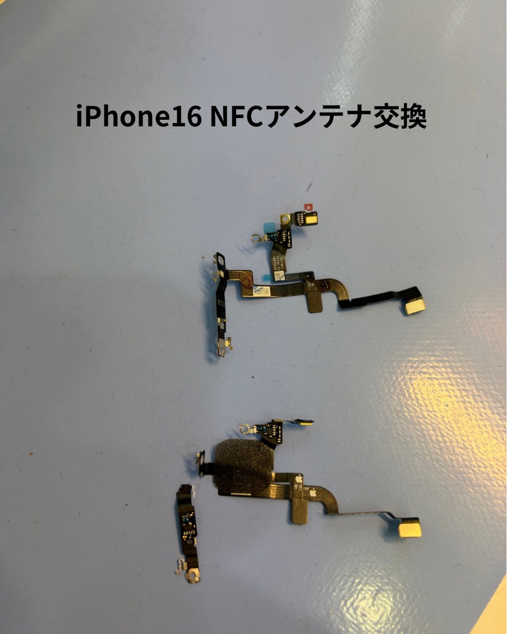 iPhone16 NFCアンテナ交換で取り外した部品